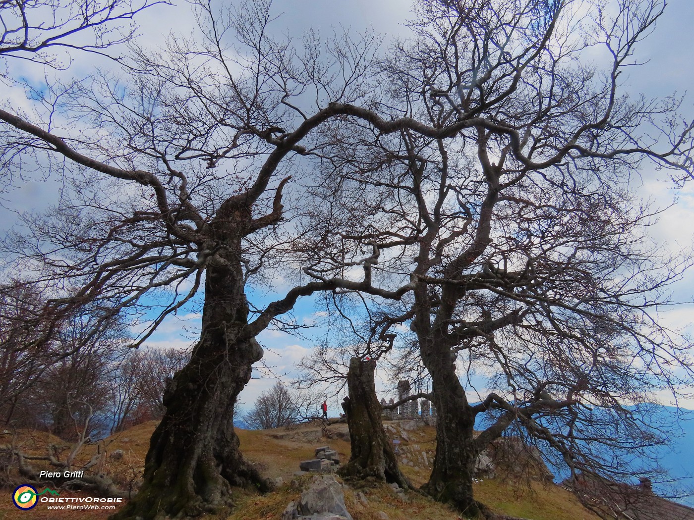 57 I Tre Faggi...quello centrale ci ha lasciato.JPG